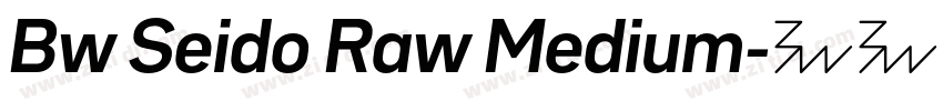 Bw Seido Raw Medium字体转换